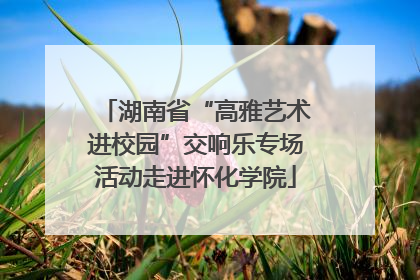 湖南省“高雅艺术进校园”交响乐专场活动走进怀化学院