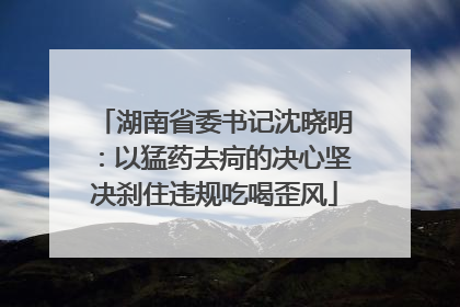 湖南省委书记沈晓明：以猛药去疴的决心坚决刹住违规吃喝歪风