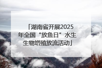 湖南省开展2025年全国“放鱼日”水生生物增殖放流活动