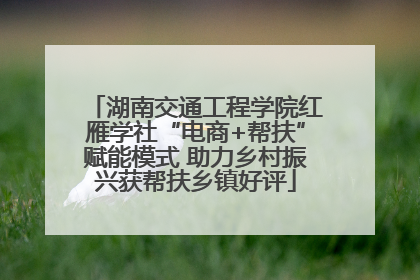 湖南交通工程学院红雁学社“电商+帮扶”赋能模式 助力乡村振兴获帮扶乡镇好评