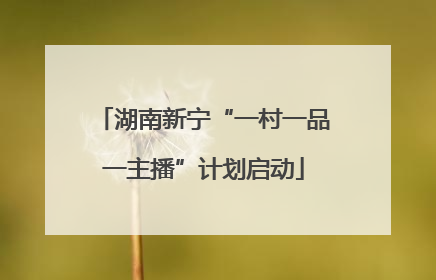 湖南新宁“一村一品一主播”计划启动
