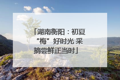 湖南衡阳：初夏“梅”好时光 采摘尝鲜正当时