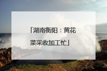 湖南衡阳：黄花菜采收加工忙