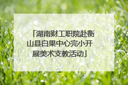 湖南财工职院赴衡山县白果中心完小开展美术支教活动