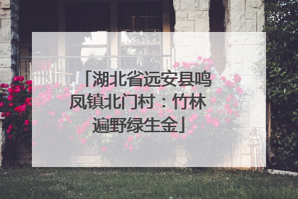 湖北省远安县鸣凤镇北门村：竹林遍野绿生金