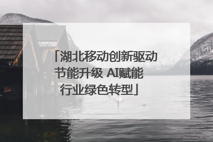 湖北移动创新驱动节能升级 AI赋能行业绿色转型