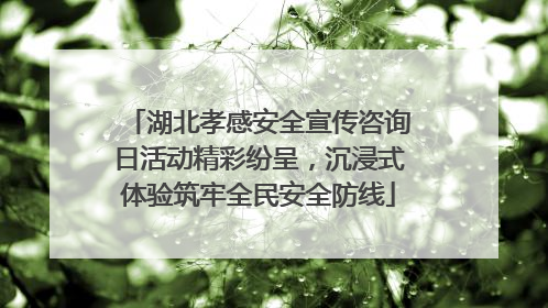 湖北孝感安全宣传咨询日活动精彩纷呈，沉浸式体验筑牢全民安全防线