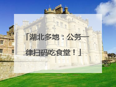 湖北多地：公务一律扫码吃食堂！