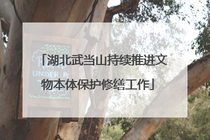 湖北武当山持续推进文物本体保护修缮工作
