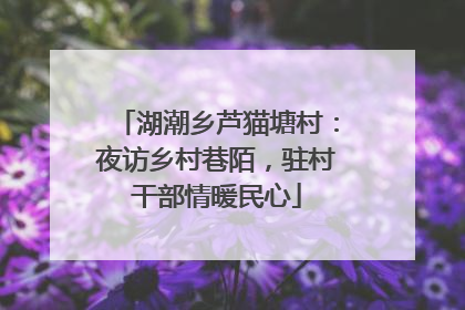 湖潮乡芦猫塘村：夜访乡村巷陌，驻村干部情暖民心