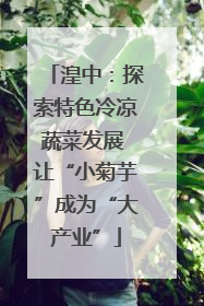 湟中：探索特色冷凉蔬菜发展 让“小菊芋”成为“大产业”