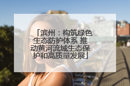 滨州：构筑绿色生态防护体系 推动黄河流域生态保护和高质量发展