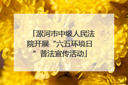 漯河市中级人民法院开展“六五环境日”普法宣传活动