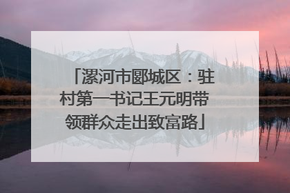 漯河市郾城区：驻村第一书记王元明带领群众走出致富路