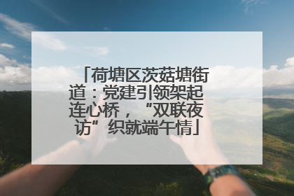 荷塘区茨菇塘街道：党建引领架起连心桥，“双联夜访”织就端午情