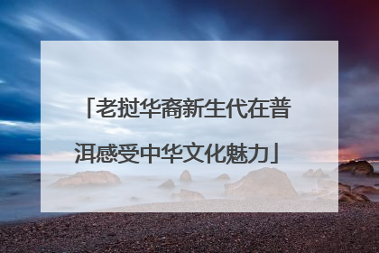老挝华裔新生代在普洱感受中华文化魅力