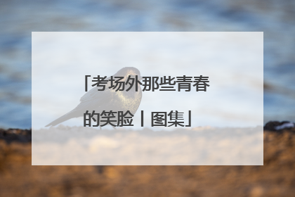 考场外那些青春的笑脸丨图集