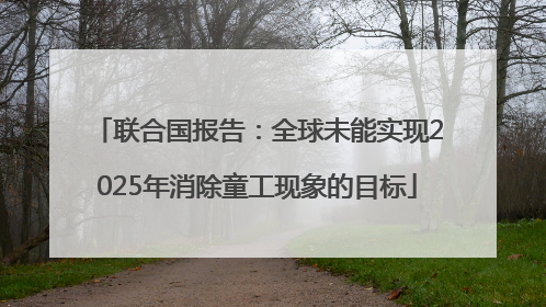 联合国报告：全球未能实现2025年消除童工现象的目标