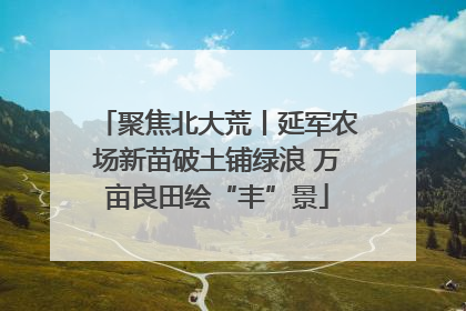 聚焦北大荒丨延军农场新苗破土铺绿浪 万亩良田绘“丰”景