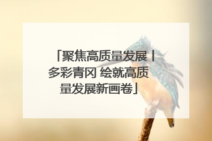 聚焦高质量发展丨多彩青冈 绘就高质量发展新画卷