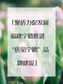 聚侨力促发展 福建宁德推进“侨见宁德”品牌建设
