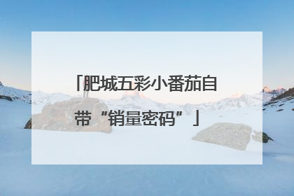 肥城五彩小番茄自带“销量密码”