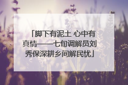 脚下有泥土 心中有真情——七旬调解员刘秀保深耕乡间解民忧