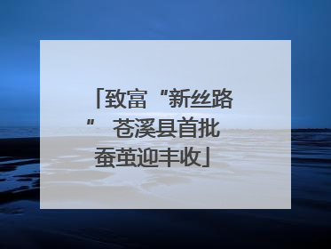 致富“新丝路” 苍溪县首批蚕茧迎丰收