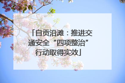 自贡沿滩：推进交通安全“四项整治”行动取得实效