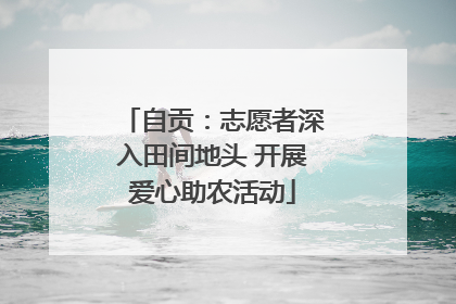 自贡：志愿者深入田间地头 开展爱心助农活动