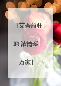 艾香盈驻地 浓情系万家