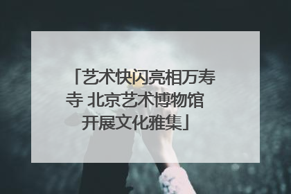 艺术快闪亮相万寿寺 北京艺术博物馆开展文化雅集