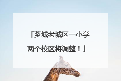 芗城老城区一小学两个校区将调整！