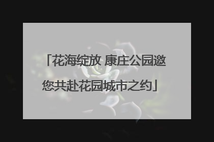 花海绽放 康庄公园邀您共赴花园城市之约