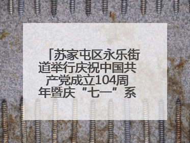 苏家屯区永乐街道举行庆祝中国共产党成立104周年暨庆“七一”系列活动
