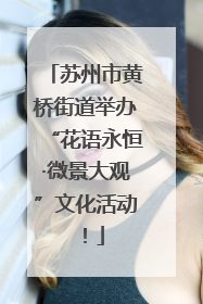 苏州市黄桥街道举办“花语永恒·微景大观”文化活动！