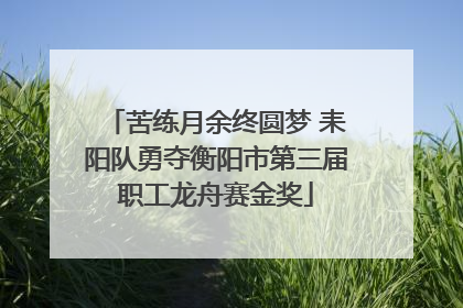 苦练月余终圆梦 耒阳队勇夺衡阳市第三届职工龙舟赛金奖