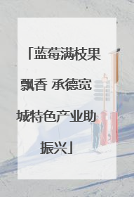 蓝莓满枝果飘香 承德宽城特色产业助振兴