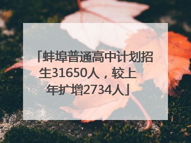 蚌埠普通高中计划招生31650人，较上年扩增2734人