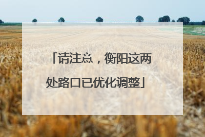 请注意，衡阳这两处路口已优化调整