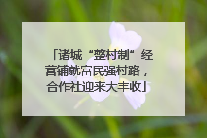 诸城“整村制”经营铺就富民强村路，合作社迎来大丰收