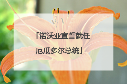 诺沃亚宣誓就任厄瓜多尔总统