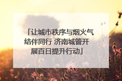 让城市秩序与烟火气结伴同行 济南城管开展百日提升行动
