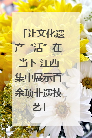 让文化遗产“活”在当下 江西集中展示百余项非遗技艺