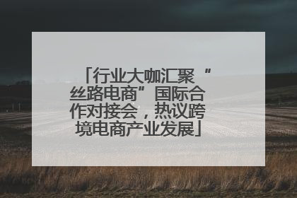 行业大咖汇聚“丝路电商”国际合作对接会，热议跨境电商产业发展