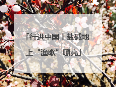 行进中国丨盐碱地上“渔歌”嘹亮