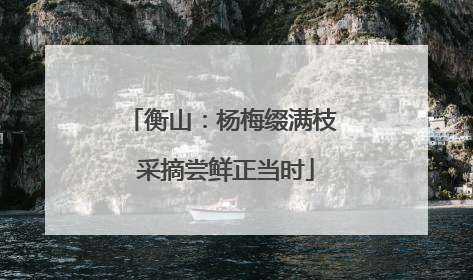 衡山：杨梅缀满枝 采摘尝鲜正当时