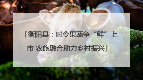 衡阳县：时令果蔬争“鲜”上市 农旅融合助力乡村振兴
