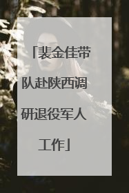 裴金佳带队赴陕西调研退役军人工作