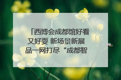 西博会成都馆好看又好耍 新场景新展品一网打尽“成都智造”｜西博视界